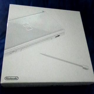 ニンテンドーDS(ニンテンドーDS)のds　lite (携帯用ゲーム機本体)