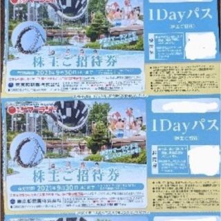 東京サマーランド　ご招待券　2枚(遊園地/テーマパーク)