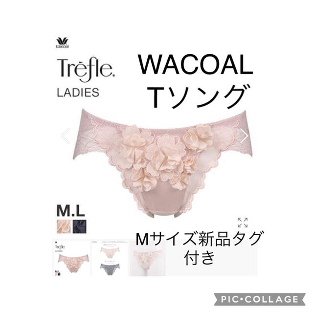 WACOAL トレフルTソングMサイズPBF438カラーPB新品タグ付き