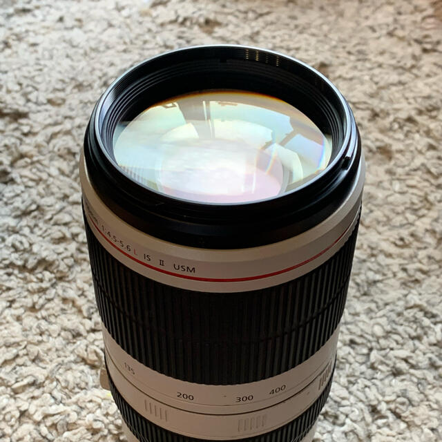 canon ef 100-400mm L II型 usm 2型 canon ef 100-400mm L II型 usm 2型