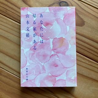 あなたには帰る家がある(文学/小説)