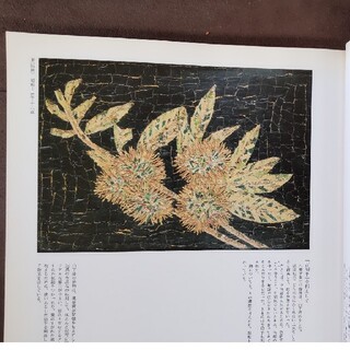 山下清 画集 155ページの通販 by わびすけ's shop｜ラクマ