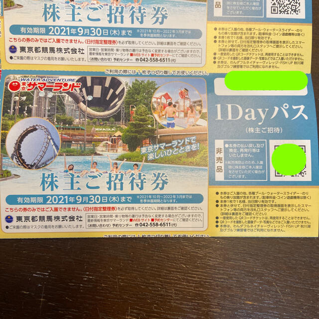 東京サマーランド 株主優待 4枚 今年の新作から定番まで! 東京サマーランド 株主優待 4名様