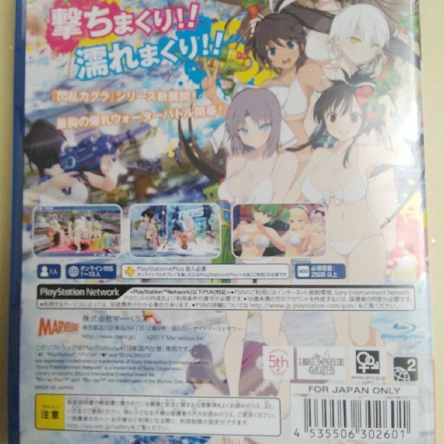 PlayStation4(プレイステーション4)の閃乱カグラ PEACH BEACH SPLASH PS4 エンタメ/ホビーのゲームソフト/ゲーム機本体(家庭用ゲームソフト)の商品写真