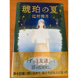 琥珀の夏(文学/小説)