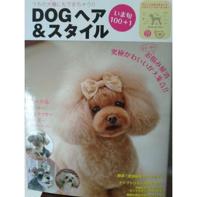 ☆新品☆Dogヘア&スタイル いま旬100+1 エンタメ/ホビーの本(住まい/暮らし/子育て)の商品写真