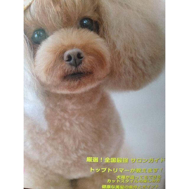 ☆新品☆Dogヘア&スタイル いま旬100+1 エンタメ/ホビーの本(住まい/暮らし/子育て)の商品写真