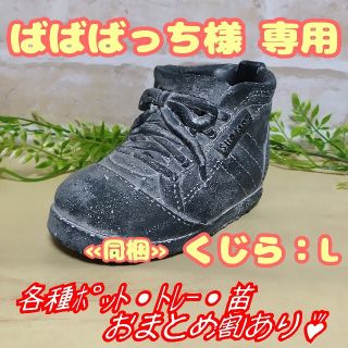 【ハイカット 黒】他 植木鉢 ポット多肉植物プランター寄せ植えプレステラ プラ鉢(プランター)