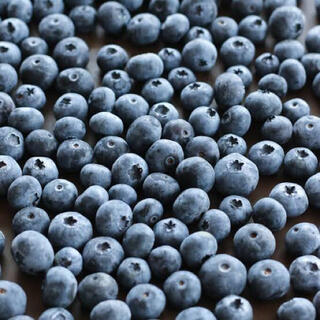 カナダ産　冷凍ブルーベリー　1kg Frozen Blueberries (フルーツ)