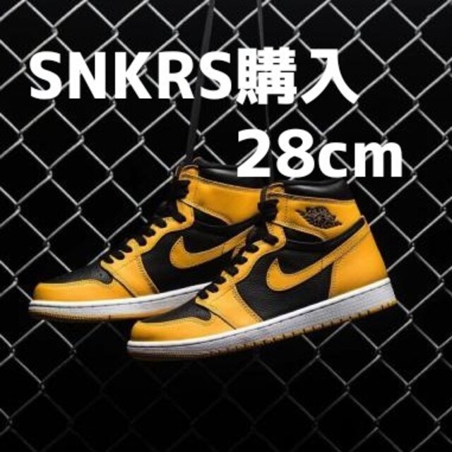 NIKE AIR JORDAN 1 RETRO HIGH POLLEN 28cmタイガース