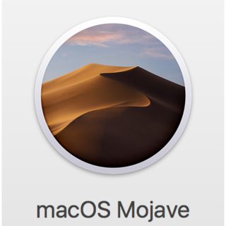 アップル(Apple)のMacOS 10.14 Mojave インストールUSBメモリー(その他)