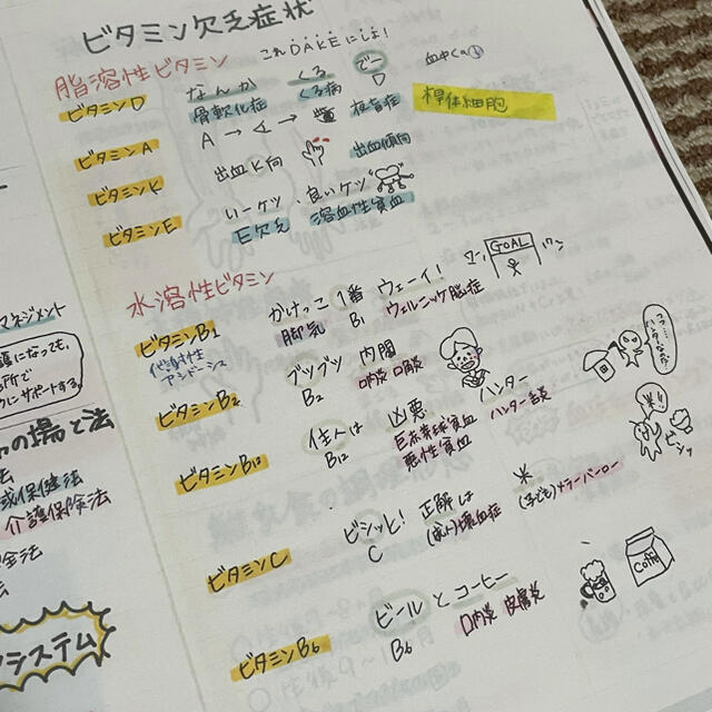 看護師国家試験絶対合格極秘ノート㊙️合格保証付き【全額返金】【看護学生】