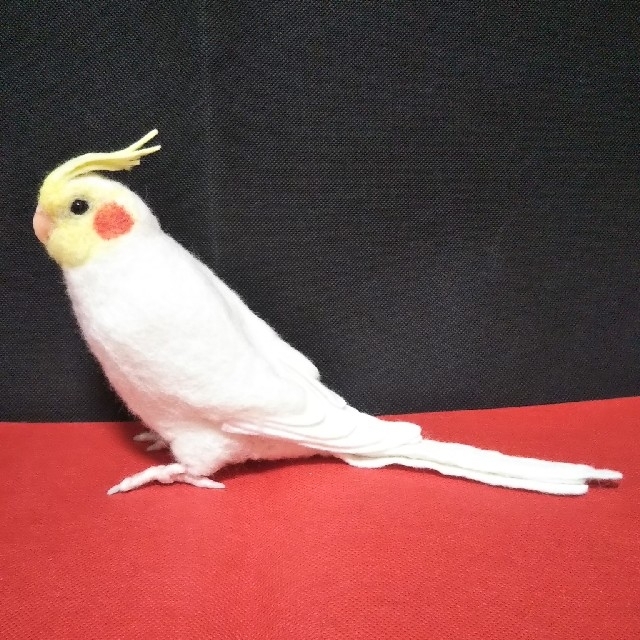 羊毛フェルト オカメインコ ルチノー