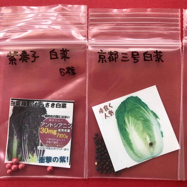 野菜のタネ4種類 食品/飲料/酒の食品(野菜)の商品写真