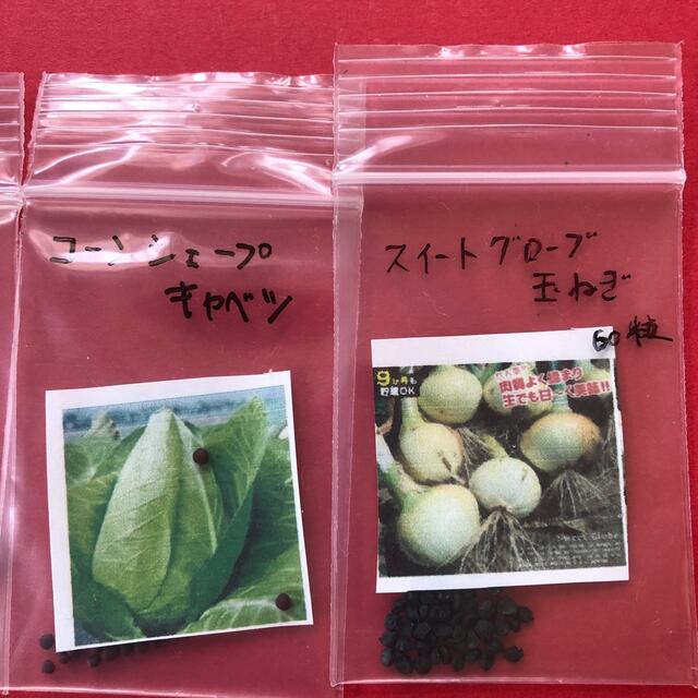 野菜のタネ4種類 食品/飲料/酒の食品(野菜)の商品写真