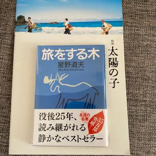 太陽の子パンフレット＆旅をする木(印刷物)