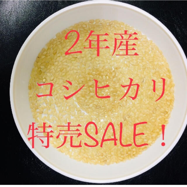 お米SALE！令和2年産「特別栽培米コシヒカリ玄米」普通精米を無料