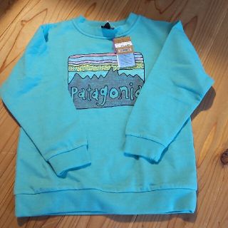 パタゴニア(patagonia)のパタゴニア　スウェット　5T(Tシャツ/カットソー)