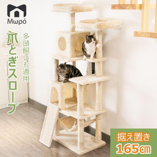 俵小百合、俵有希子、岡本奈月、飯田里穂、中村有沙、大島優子