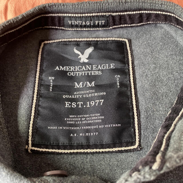 American Eagle(アメリカンイーグル)のアメリカンイーグル　ヘンリーロングスリーブ メンズのトップス(Tシャツ/カットソー(七分/長袖))の商品写真