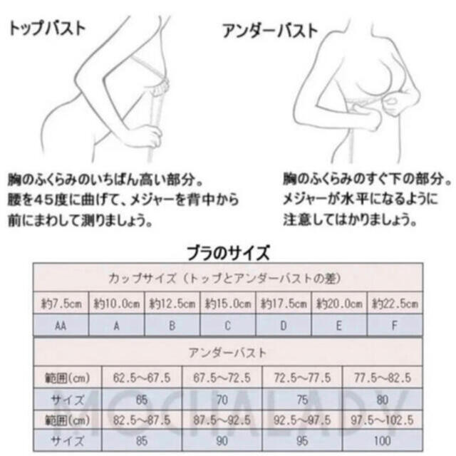 ⚠️A/Bカップの方注目→ 谷間が盛れるノンワイヤーブラ♡ レディースの下着/アンダーウェア(ブラ)の商品写真