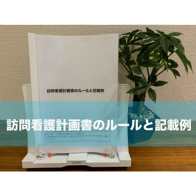 訪問看護計画書のルールと記載例 ハンドメイド その他
