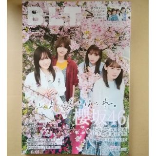 ケヤキザカフォーティーシックス(欅坂46(けやき坂46))のB.L.T. 5月号 通常版 櫻坂46 両面ポスター付(アート/エンタメ/ホビー)