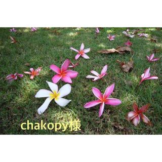 chakopy様(リング)