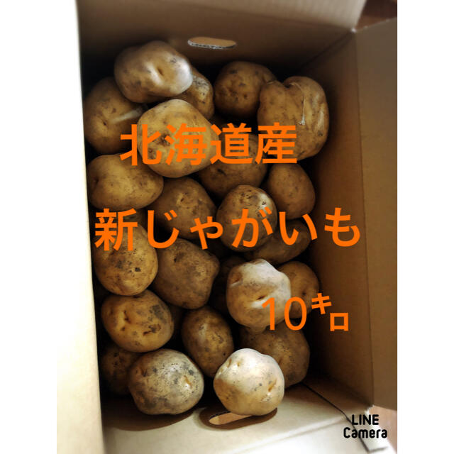 北海道産 農家直送 新じゃがいも 10㌔ 食品/飲料/酒の食品(野菜)の商品写真