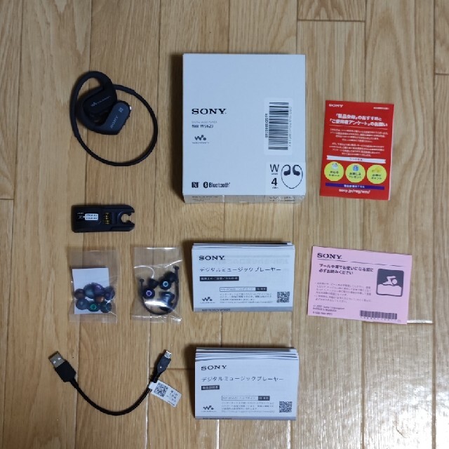 SONY WALKMAN NW-WS623 1