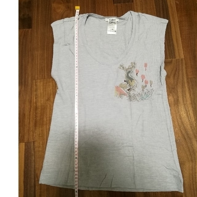 Chloe(クロエ)の【数回のみ着用】Chloe　Tシャツ　おまとめ割あり レディースのトップス(Tシャツ(半袖/袖なし))の商品写真