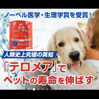 世界初！ペット用テロメアのサプリ　普段のご飯に混ぜるだけ　1缶　新品未開封(犬)