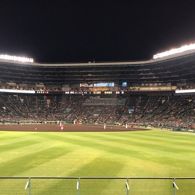 【プロ野球】９月２日（木）阪神 vs 中日 レフト外野指定席 ペアチケット