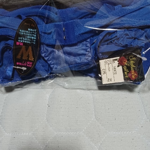 レディースブラジャーショーツのセット レディースの下着/アンダーウェア(ブラ&ショーツセット)の商品写真