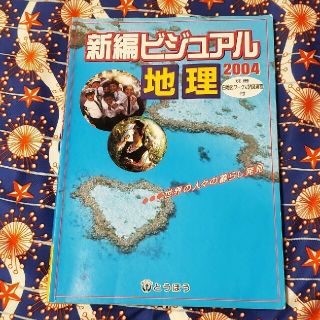 新編ビジュアル地理 2004 カラー写真 テキスト(人文/社会)