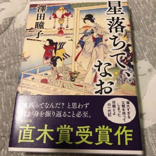 星落ちて、なお(文学/小説)