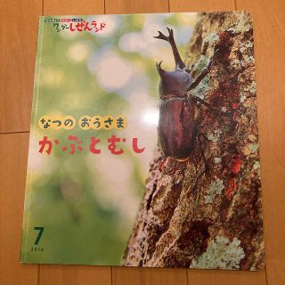 ちゃんばぁ様ご検討中　かぶとむし　本(絵本/児童書)