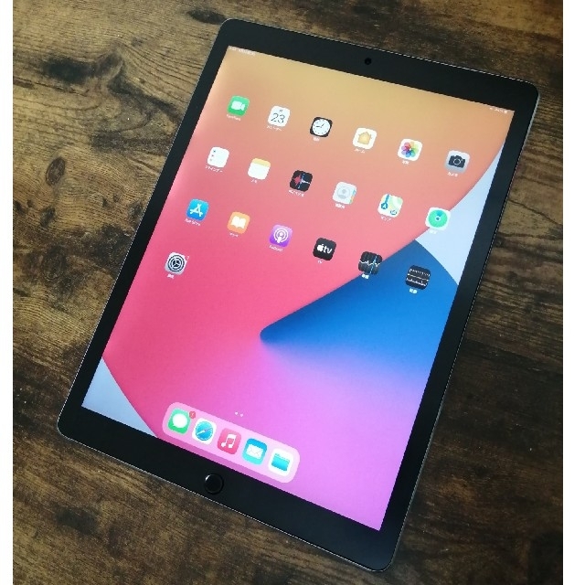 iPad Pro12.9インチ(第2世代)64GB (スペースグレイ) 柔らかい