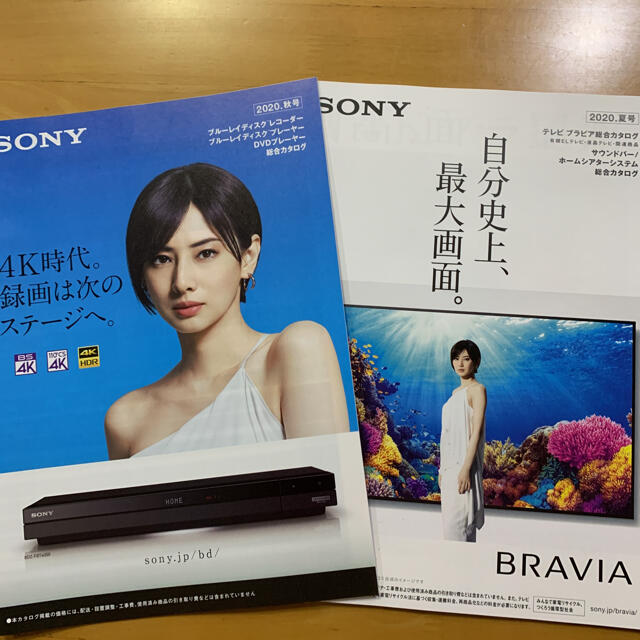 BRAVIA(ブラビア)のソニー BRAVIA カタログ 2020年 2冊 北川景子 エンタメ/ホビーのコレクション(印刷物)の商品写真