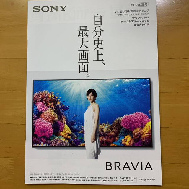 BRAVIA(ブラビア)のソニー BRAVIA カタログ 2020年 2冊 北川景子 エンタメ/ホビーのコレクション(印刷物)の商品写真