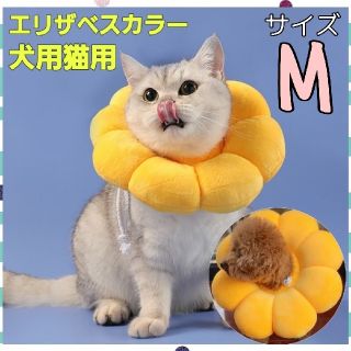 向日葵型 ソフトエリザベスカラー 術後ウェア 小動物 猫 犬  イエロー(猫)