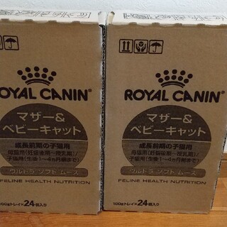 新品未開封 ロイヤルカナン(ROYAL CANIN) / キャットフード 48個(ペットフード)