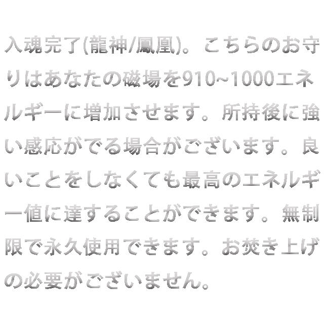 開運風水お守り 黄金龍鱗 大金運 大開運 借金解消 財運 商売繁盛 投資 くじ運 1