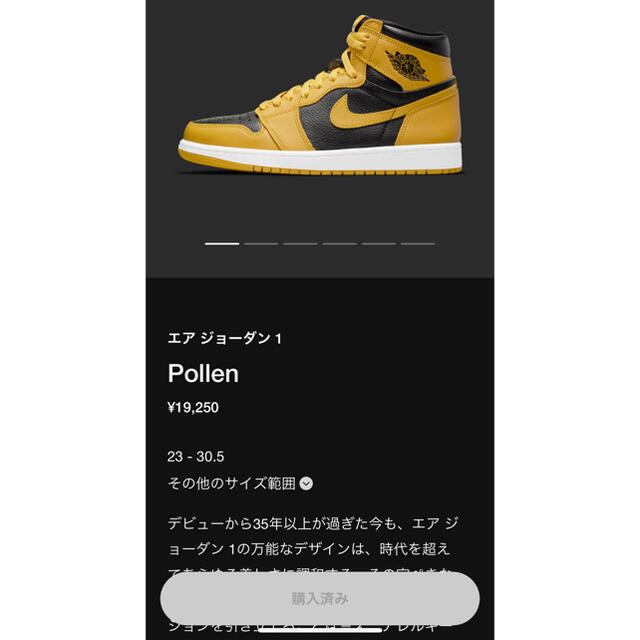 新品未使用 NIKE JORDAN 1 POLLEN 28cm靴/シューズ