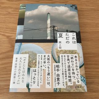 これはただの夏(文学/小説)