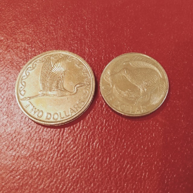 32キーウィ　キウイ　コイン　硬貨