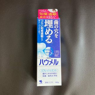 コバヤシセイヤク(小林製薬)の歯磨き粉 ハウメル 100g 小林製薬 薬用ハミガキ ホワイトニング(歯磨き粉)