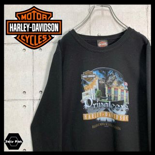 ハーレーダビッドソン(Harley Davidson)の【入手困難】ハーレーダビッドソン バックプリント スウェット アート 黒 M(スウェット)