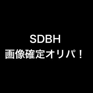 ドラゴンボール(ドラゴンボール)のバストモ様専用(その他)