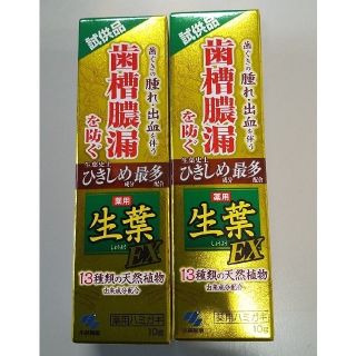 コバヤシセイヤク(小林製薬)の小林製薬　生葉　試供品10g✕2個(歯磨き粉)